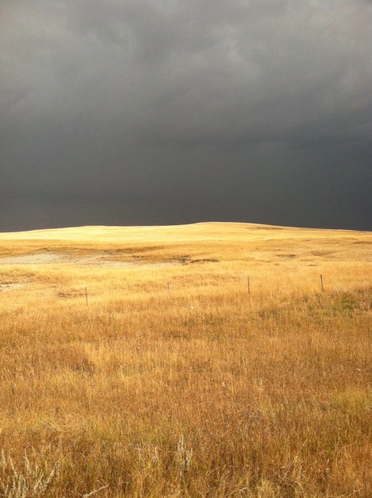 SDprairiesky