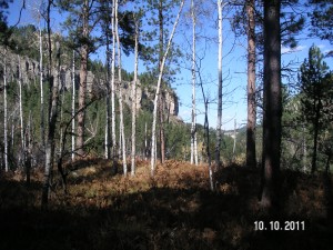 bh1
